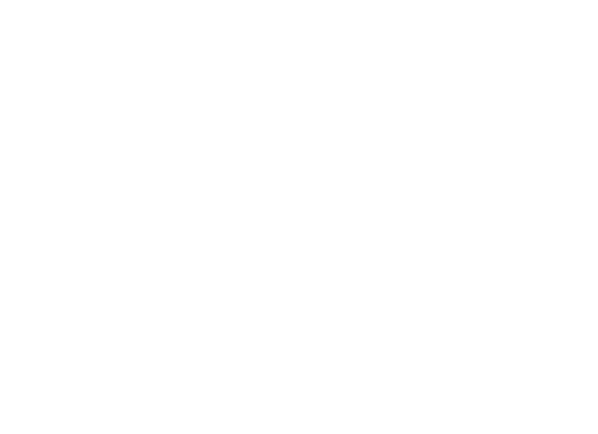 Self-Determination Theory